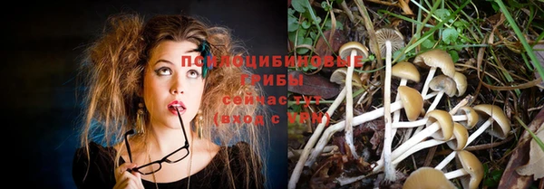 прущая мука Белоозёрский