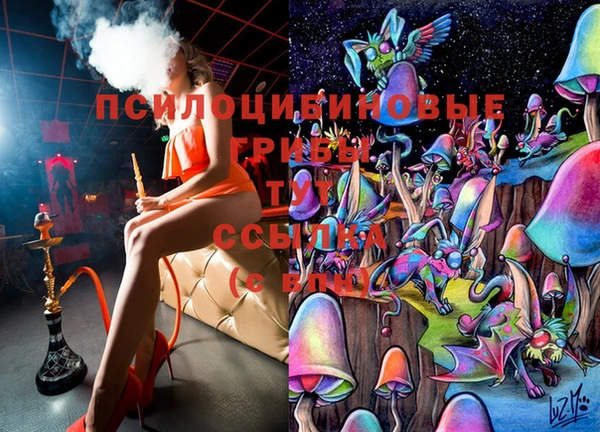 каннабис Белокуриха