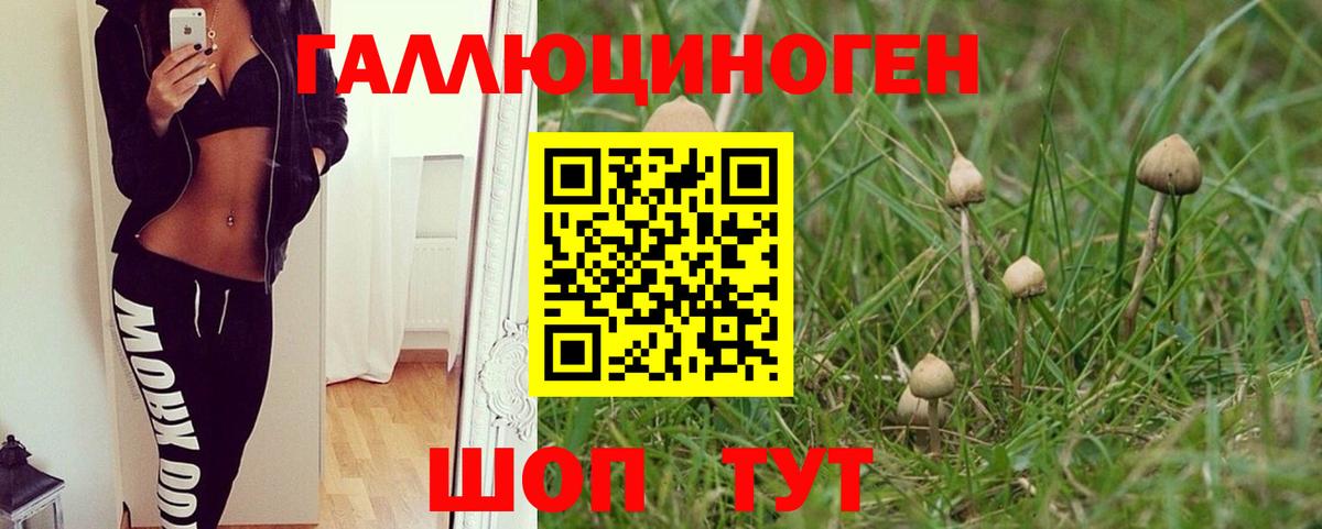 Губкинский  Галлюциногенные грибы GOLDEN TEACHER  Вход с VPN 